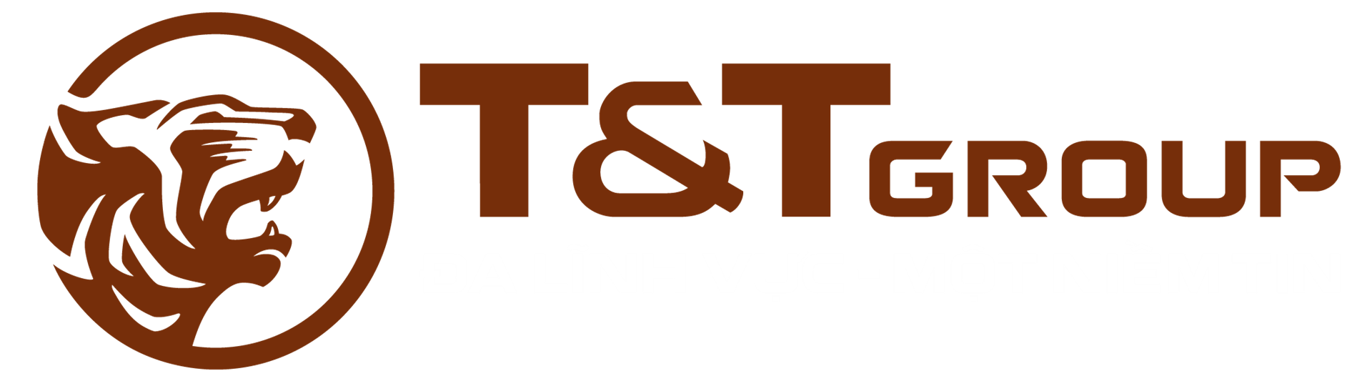 T&T Elite Rivera Vĩnh Long